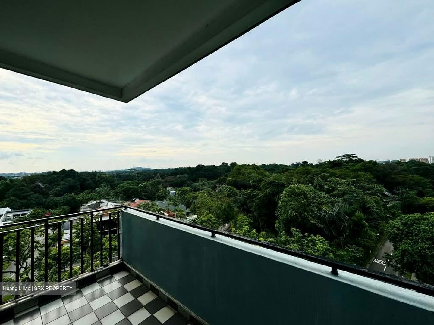 Goldhill Towers (D11), Apartment #569988771